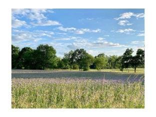 Schloss Badow Comfortable holiday residence Vacation rental in Schleswig-Holstein