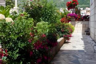 Guest House Raguz - Double Room - 2 Apartment in Dubrovnik