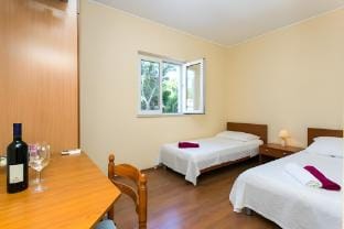 Apartment amp Room Braica - Twin Room Apartment in Dubrovnik