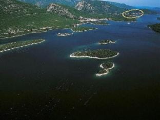 Apartment Nina  Kate - Comfort One Bedroom Apartment with Terrace and Sea View Apartment in Dubrovnik-Neretva County