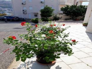 Apartments Pojko - Standard One-Bedroom Apartment with Terrace Red Apartment in Dubrovnik