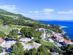 Apartments Villa Dingac-Borak - Two Bedroom Apartment with Terrace No. 1 Apartment in Dubrovnik-Neretva County