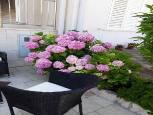 Apartments Pojko - One-Bedroom Apartment with Terrace Yellow Apartment in Dubrovnik