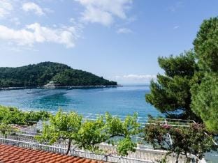 Apartments Franka Saplunara-Double Room with Terrace and Sea View Apartment in Korita, Mljet