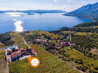 Hotel Pansion Villa Antonio - Standard Double Room 3 Apartment in Dubrovnik-Neretva County