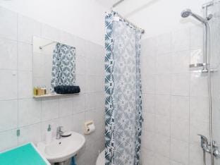 Apartments Ammos - Studio Apartment with Shared Terrace and Sea View Apartment in Korita, Mljet