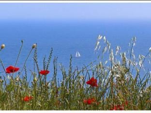 Apartment Danijela Mljet - Studio Apartment with Balcony and Sea View Apartment in Dubrovnik-Neretva County