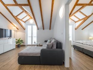 Apartments Terra - Comfort One Bedroom Apartment with Balcony and City View VELIKI Apartment in Dubrovnik