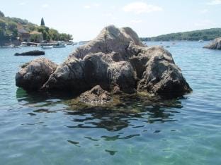 Apartment Luna - One Bedroom Apartment with Terrace and Sea View Molunat Apartment in Dubrovnik-Neretva County