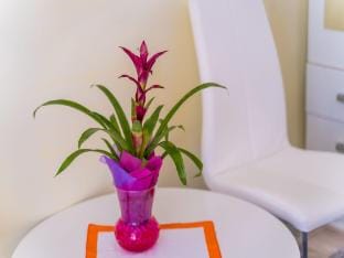 Rooms Katja  Lara - Double Room Lara Apartment in Dubrovnik