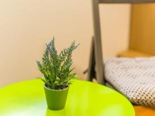 The Point Room - Double Room with City View Apartment in Dubrovnik