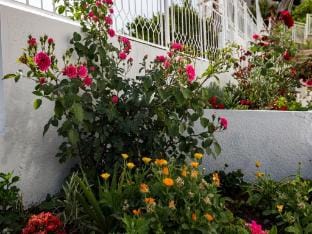 Apartments Blazevic - One Bedroom Apt with Terrace Apartment in Mlini
