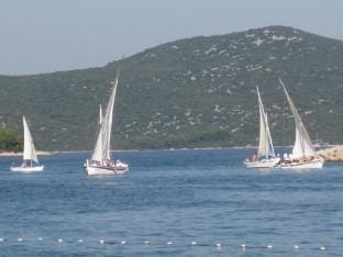 Apartments Paula - One Bedroom Apartment with Terrace 3 Apartment in Tisno