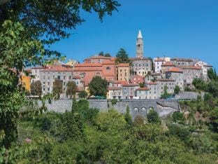 Villa Tomichic with Swimming Pool Villa in Istria County