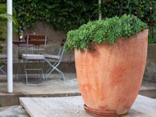 Apartments Maro  Baro - Studio apartment Maro Apartment in Dubrovnik