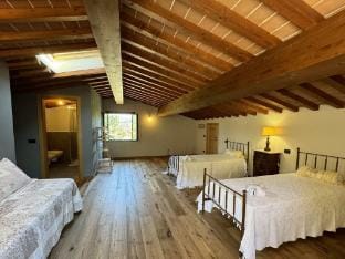 House in Tuscany near Pisa  Lucca Villa in Lucca