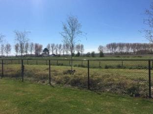 Pet-Loving Stay with Garden Vacation rental in Zeeland, Netherlands