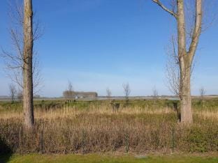 Modern Beach Retreat - Sauna Vacation rental in Zeeland, Netherlands