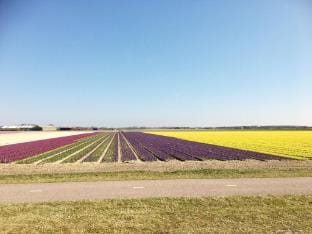 Relax Cozy Dirkshorn Stay Vacation rental in North Holland (province)