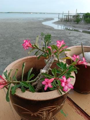 海角一号 seaview good @ pulau ketam sg 5 Vacation rental in Selangor, Malaysia
