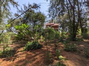Villa Casuarina 2 (entire villa) A/C, near beach Villa in Karnataka
