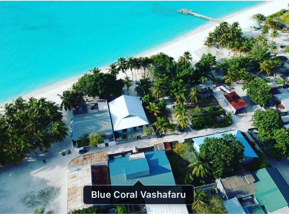 Blue Coral Vashafaru Maldives Hotel in Maldives