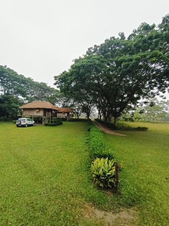 Dhansiri Eco Camp Vacation rental in India