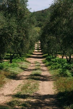 Domaine Acciola Vacation rental in Corsica