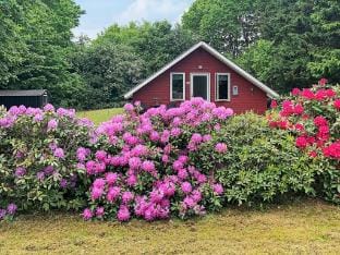 person holiday home in Toftlund Vacation rental in Region of Southern Denmark