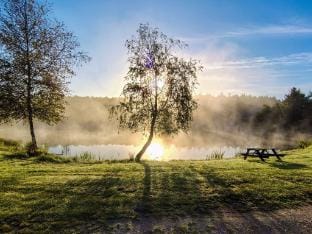 person holiday home in Toftlund Vacation rental in Region of Southern Denmark