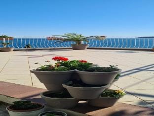 Apartments Matea - Studio with Sea View 2 Adults - Stikovica Apartment in Dubrovnik-Neretva County