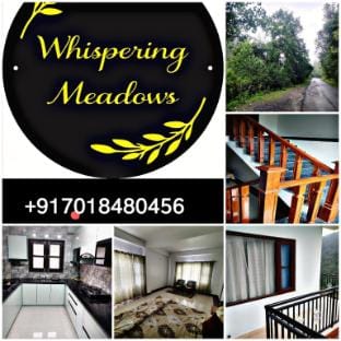 Whispering Meadows(U get entire 3 BHK) Vacation rental in Shimla