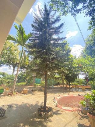 Kanchi Farm House Farm Stay in Tamil Nadu