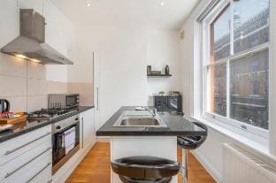 Dionysus' Den - Fitzrovia By Frankie Says Apartment in London Borough of Islington
