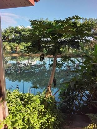 San Pa Tong Apartments Apartment in Thailand