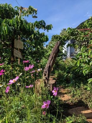Ivy Coffee Farm - Garden House Apartment in Lâm Đồng