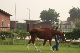 Peaceful Farm Living @ The Bageecha Vrindavan CTG2 Villa in Uttar Pradesh