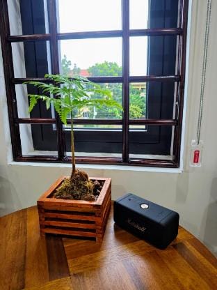 Zambala House Vacation rental in Laos