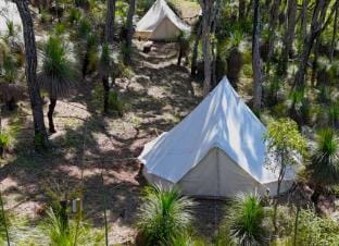 Grass Trees Family Camping with Breathtaking Views Vacation rental in Agnes Water