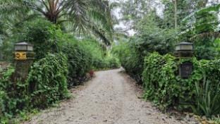 Gopeng Riverstones Rainforest Retreat Vacation rental in Perak