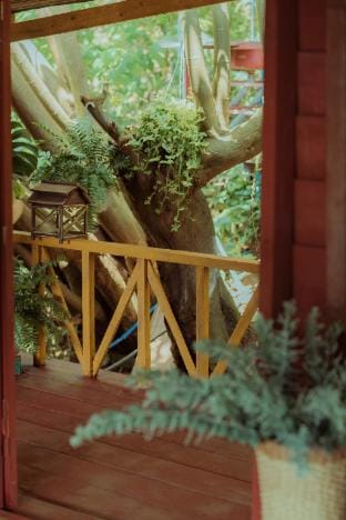 Nắng Xinh Homestay  Vacation rental in Dalat