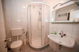 Domizil Alpine Retreat 11 with balcony Apartment in Piesendorf