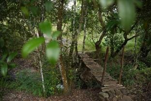 Doctor’s Forest House Vacation rental in Tamil Nadu