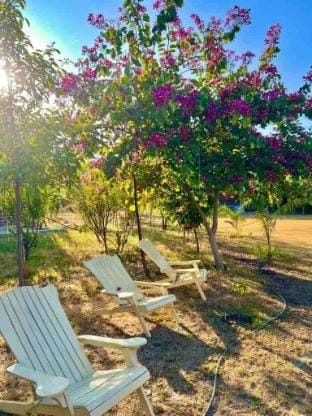 Kasturi Zen: A Magical Escape! Villa in Gujarat