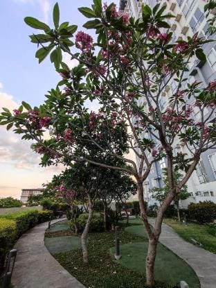 Staycation at Kasara Urban Resort Residences Vacation rental in Pasig