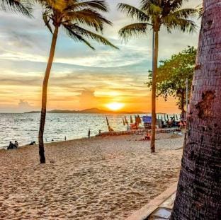Jomtien Beach Soi7 Pattaya Thiantong Condotel -265 Apartment in Pattaya City