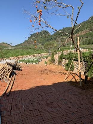 Home view farm  Vacation rental in Laos