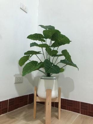 Nang Rong Accommodation, Buriram Kasemsuk Resort Vacation rental in Cambodia