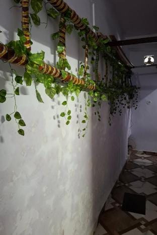 BLISSFULHAVEN (BH)- Home Stay Vacation rental in Varanasi