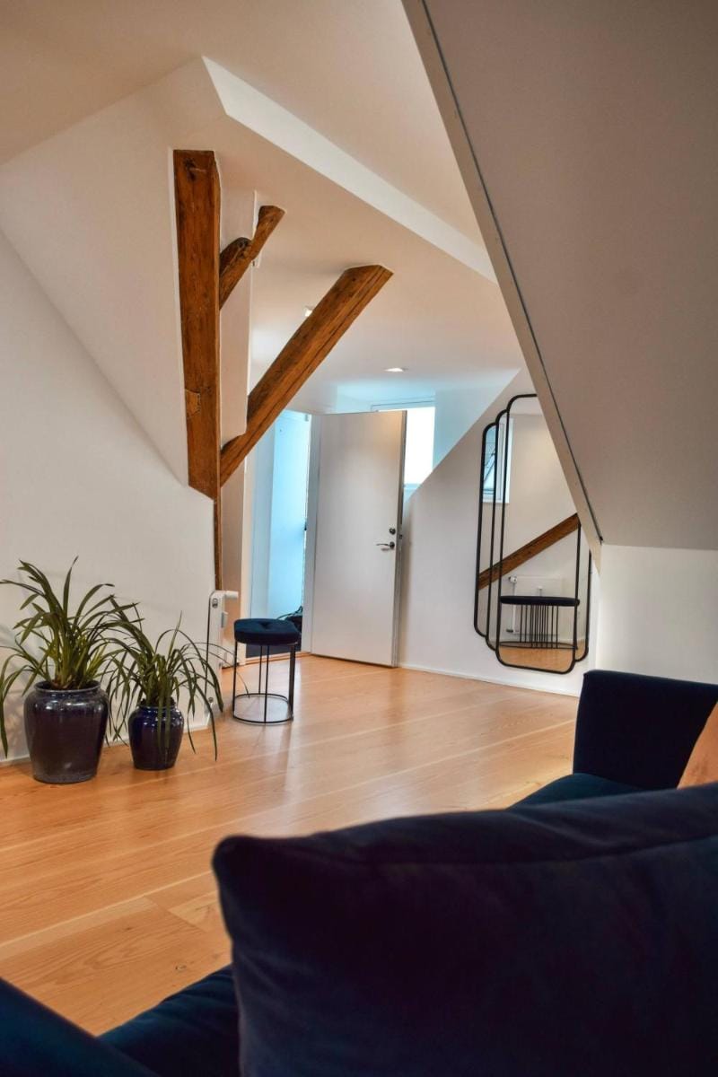 Central Penthouse with Private Rooftop Terrace Apartment in Copenhagen
